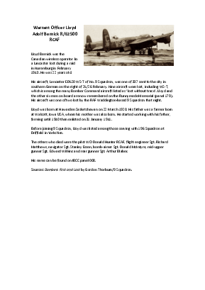 A preview of a PDF biography for Bernick, Lloyd Adolf